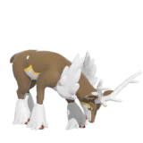 NPS_p044-DB.png