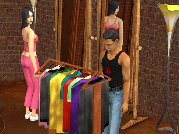 Sims2_Feb04_Image1.jpg