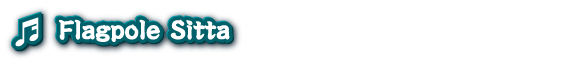 taikoDRUMMASTER-flagpole2.png