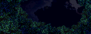 OP_BG07