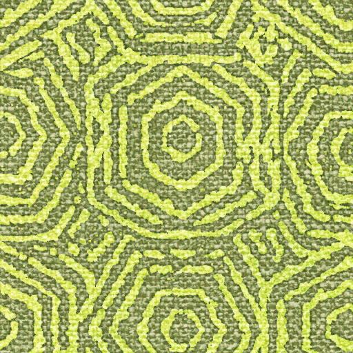 Lbp3_r513946_zt_proc_batique.tex.png