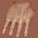 Hls_hnd_hand_top2.png Hls_hnd_hand_top2.png