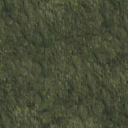 CSCZ-tsmoss.png CSCZ-tsmoss.png