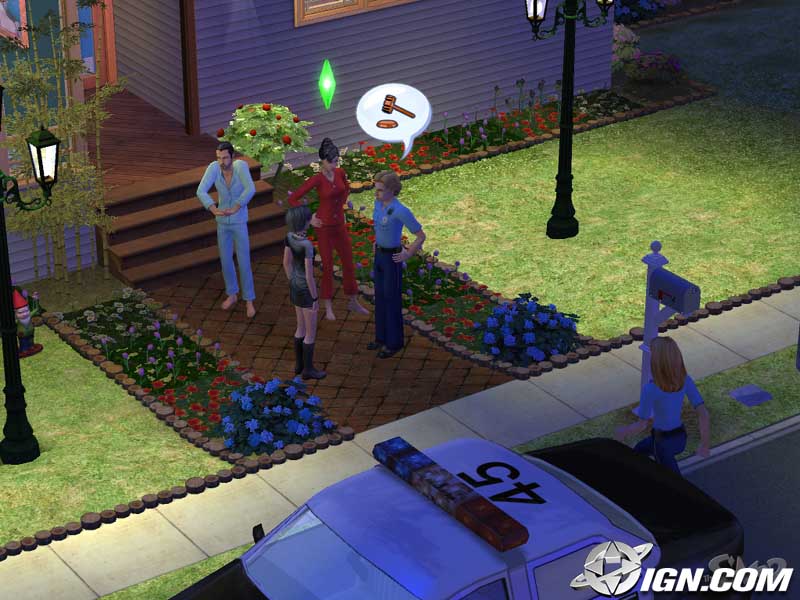 Sims2_Dec2003Image_1.jpg