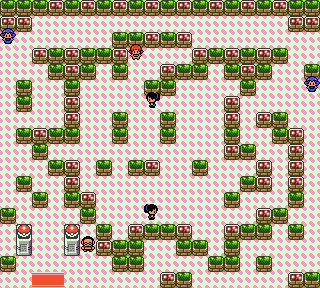 Pokemon_GS_Final_Goldenrod_Gym.png
