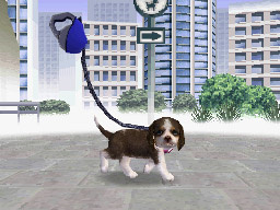 NDG_sanpo01.jpg NDG_sanpo01.jpg