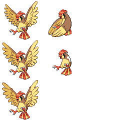pmpl_017_frnt_m_r802.png pmpl_017_frnt_m_r802.png