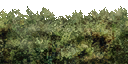 CMR3_Xbox_TEMP_bsh_sh1c.png