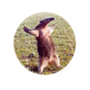 TFBW_Power_tupperware_provoke.png