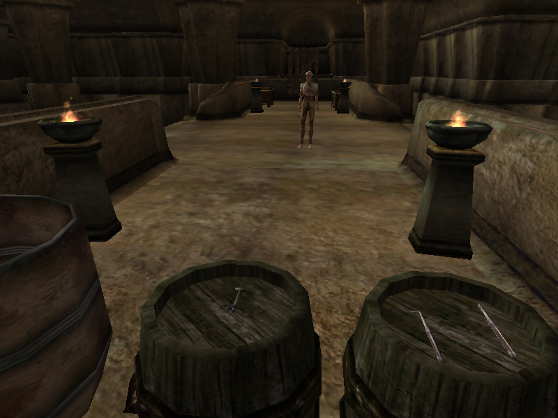 Featured here is the NPC "Admiral Rolston" as well as various containers. One of the barrels in the front of the screen tests sound effects while the other is for testing lockpicking. The chests behind the Admiral in the back contain every piece of unenchanted armor and weapon from the vanilla game. Featured here is the NPC "Admiral Rolston" as well as various containers. One of the barrels in the front of the screen tests sound effects while the other is for testing lockpicking. The chests behind the Admiral in the back contain every piece of unenchanted armor and weapon from the vanilla game.