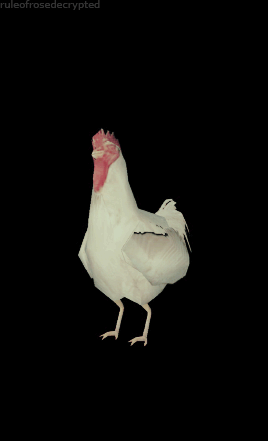Rule_of_Rose_Chicken_5.gif