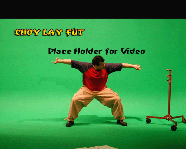 Choy Lay Fut Choy Lay Fut