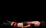 wwfwrestarc-A3GD2A.gif