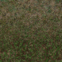 Texture072.png