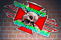 RRRGBA_Unused_Tony_Hawk.png