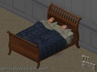 Ts1_simwebcam001.png Ts1_simwebcam001.png