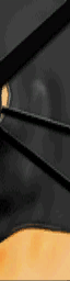 Hls_fassassin_sidehead.png Hls_fassassin_sidehead.png