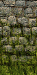 CSCZ--1CastWllFung.png CSCZ--1CastWllFung.png