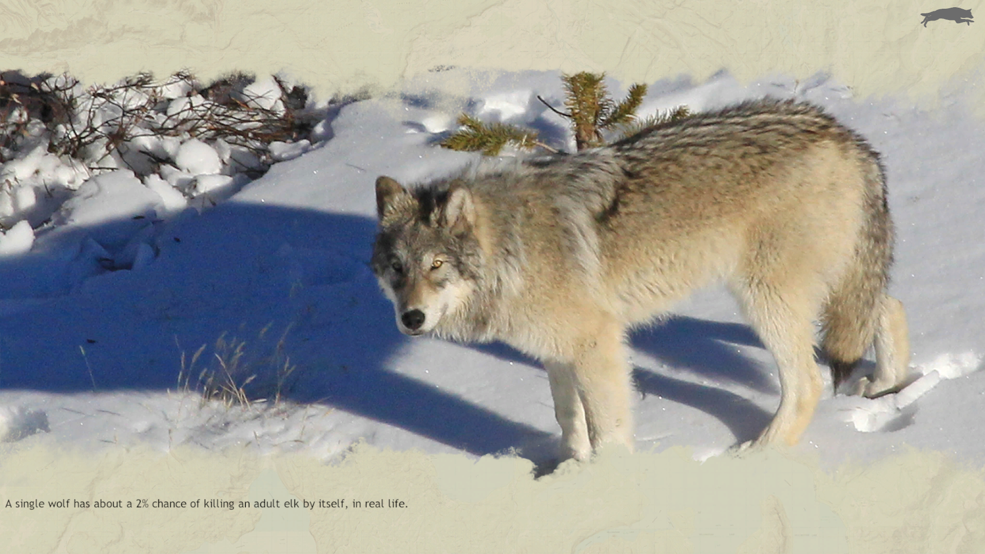 WolfQuestAE-1.0b-LoadingScreen.png
