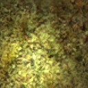 Hls_p_se_3w01_6.png Hls_p_se_3w01_6.png
