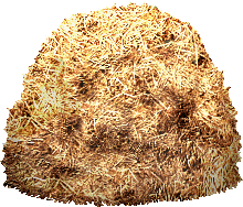 M&M6_Sprites_HAYBALE2.png M&M6_Sprites_HAYBALE2.png