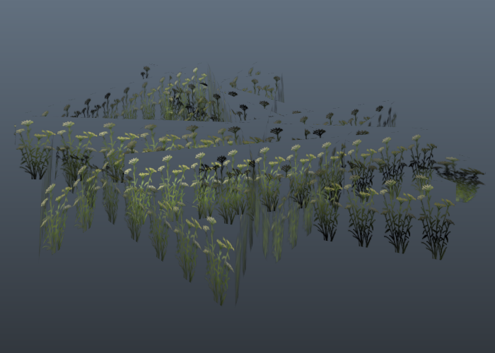 grass3_1 (grass3_3)