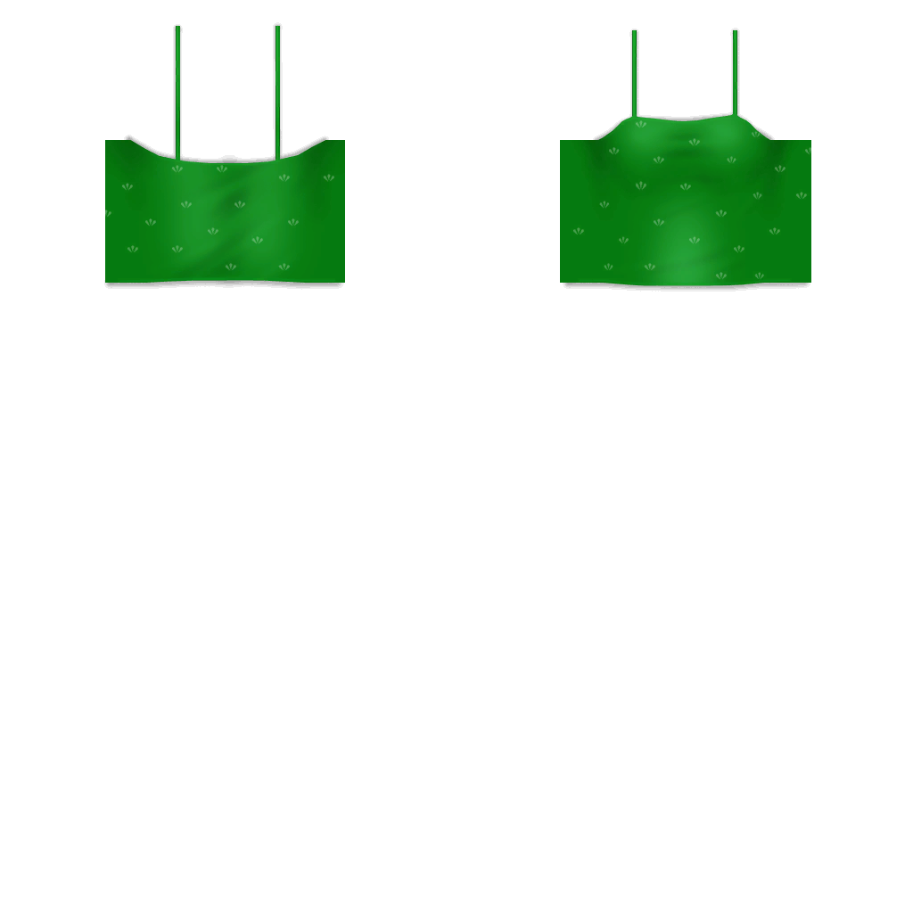 TS2_aftopblousedwaist-green0_lifo_1024x1024.png