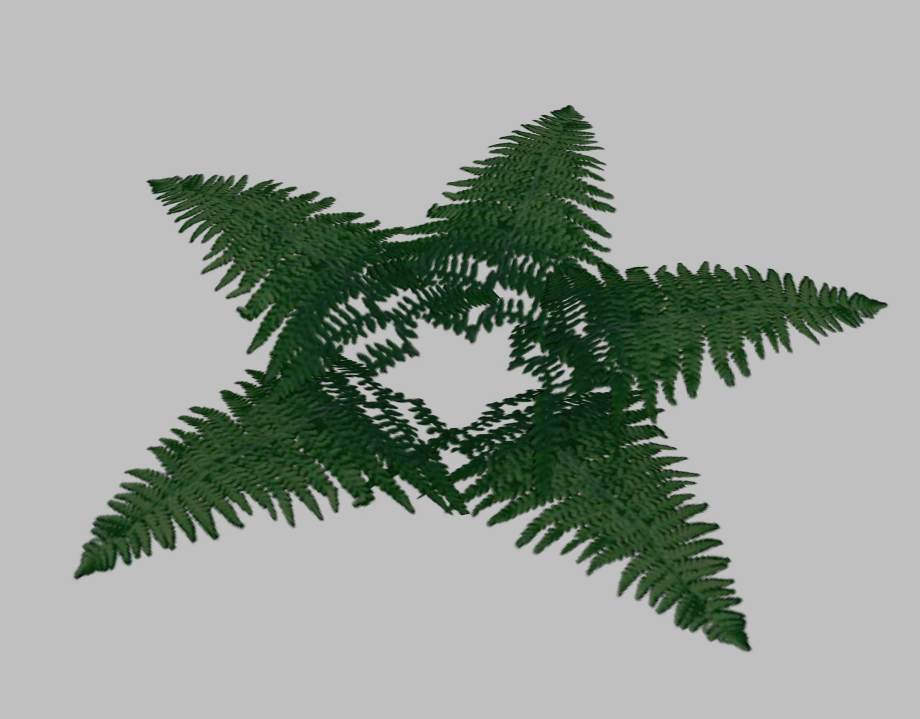 ops_fern2
