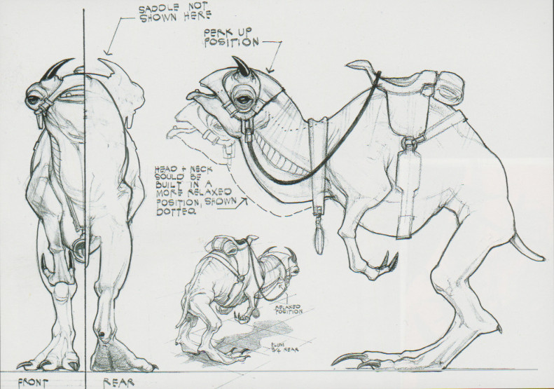 Frontal and side view sketches of Elum.