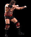 wwfwrestarc-A4GR3B.gif