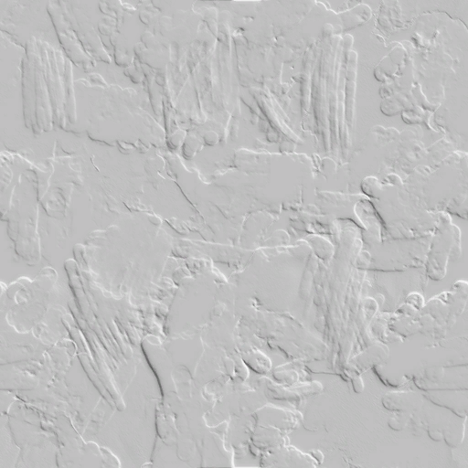 Lbp3_r513946_paint_palette_normal1.tex.png