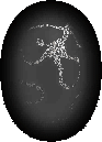 Diablo2_Aurawhite.gif Diablo2_Aurawhite.gif