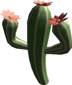 A cactus with arms. A cactus with arms.