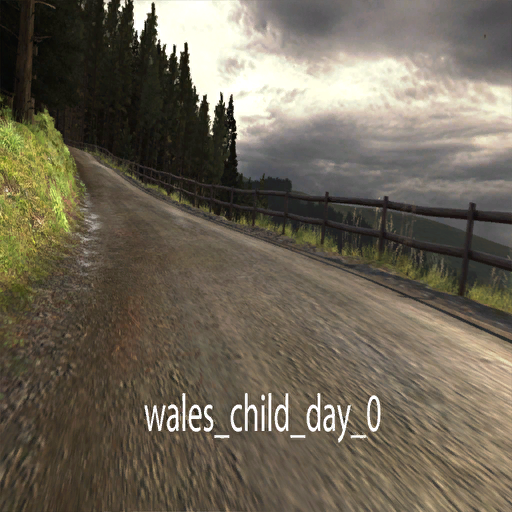 DiRTRally-wales_child_day_0.png