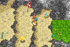 Grunty's_Revenge_Early_Proto_screen30.PNG