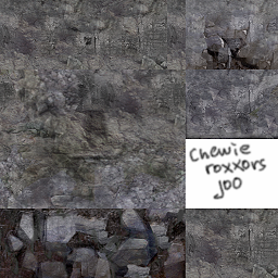 Chewie rocks our stone.