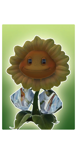 Mystic Flower Organics