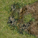 DungeonSiege-b_t_grs01_path01-128x128-01.png