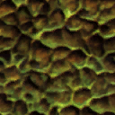 Maw texture 1. Maw texture 1.