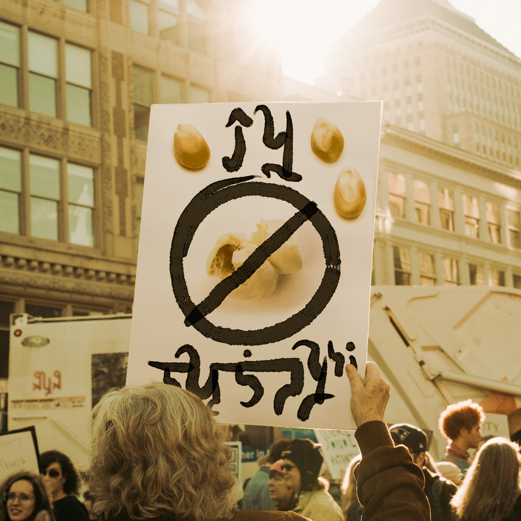 songofbloom-protest1.jpg