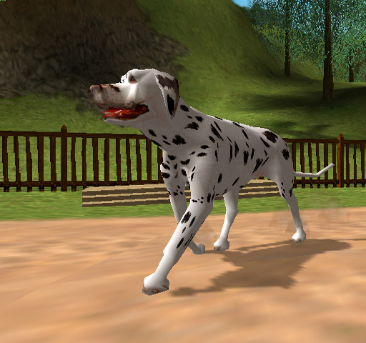 SWMDalmatian-DogsLife.jpg SWMDalmatian-DogsLife.jpg