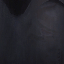Arm