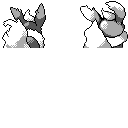 PM2B_136.CBB.w128.png
