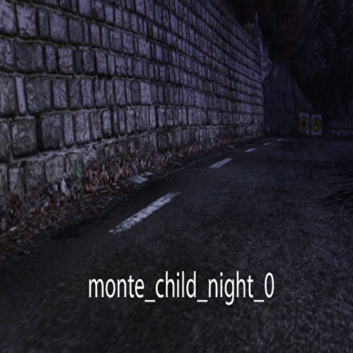 DiRTRally-monte_child_night_0.png