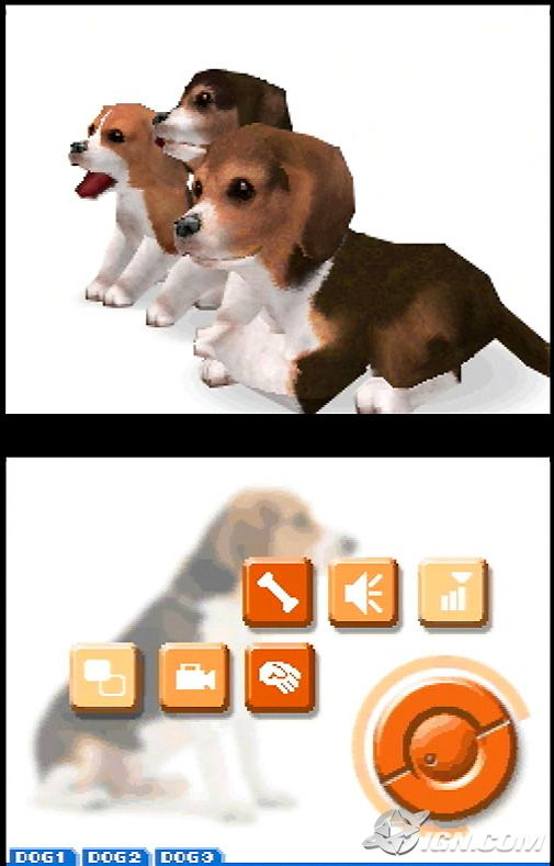 NintendogsTechDemoScreen5.png NintendogsTechDemoScreen5.png