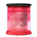 plastic pickled brain plastic pickled brain