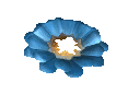 A blue flower icon from the TIR minigame, broken.
