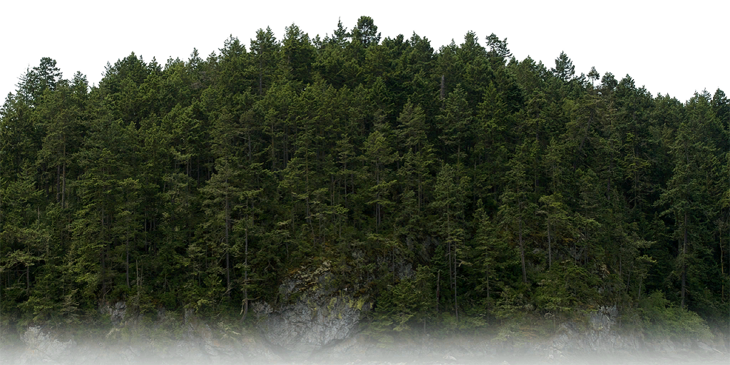 HL2EP2-nature-forest_treeline_01.png