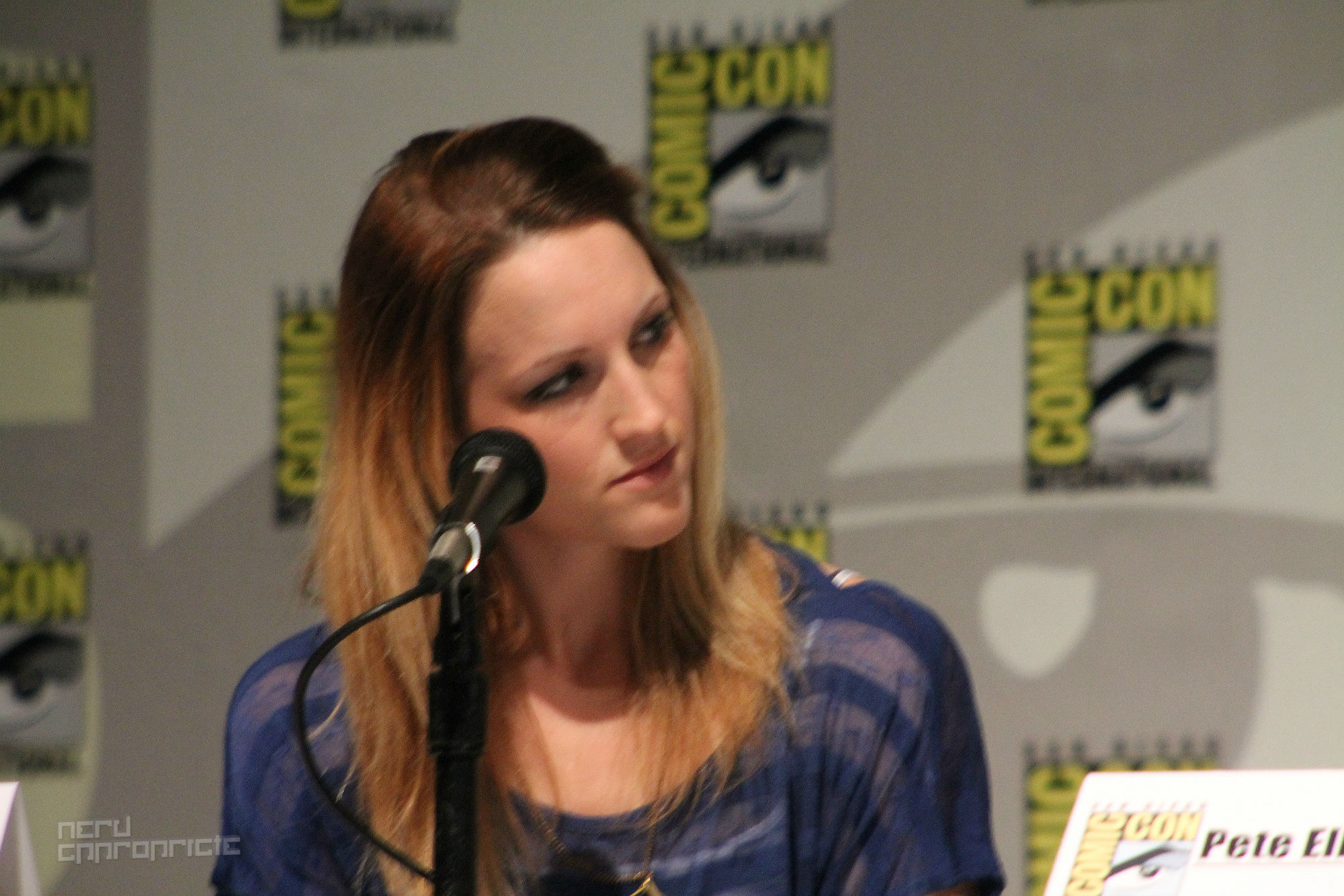 FORTSDCC_NerdAppropriate_03.jpg FORTSDCC_NerdAppropriate_03.jpg