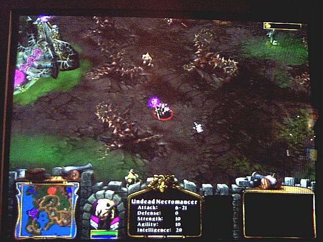 The Hero Necromancer, then-builder of the Undead. The Hero Necromancer, then-builder of the Undead.